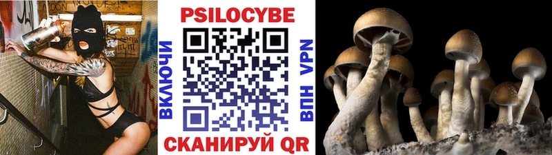 Галлюциногенные грибы Cubensis  Купить  Октябрьск 